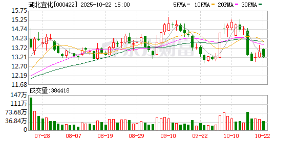 双融优配 湖北宜化：第十届监事会第三十六次会议决议公告